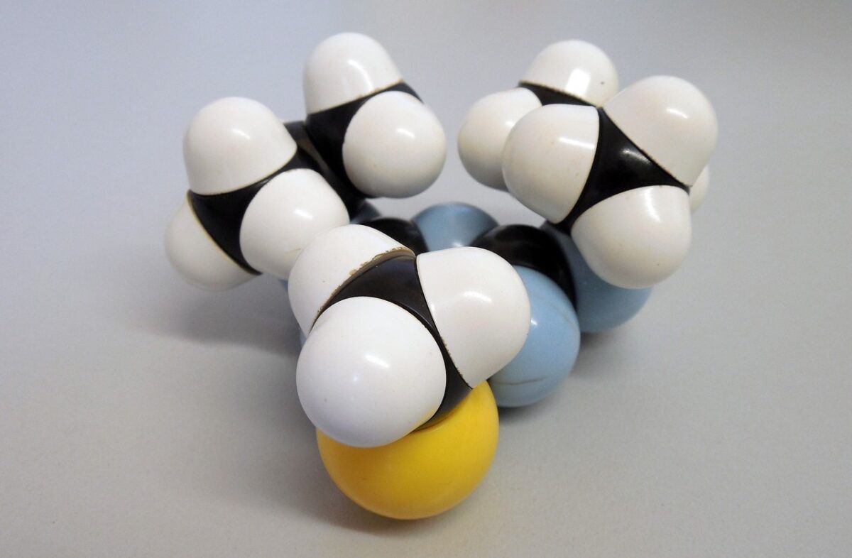 分子栄養学の勉強におすすめのわかりやすい入門本7選【初心者向け】