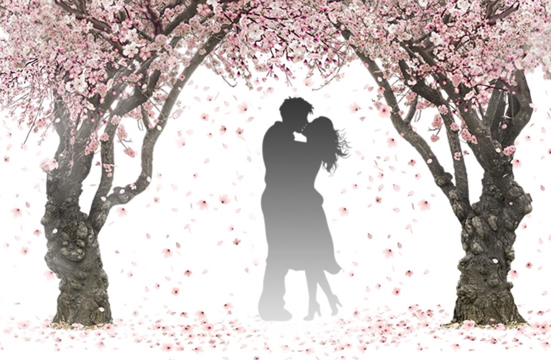 恋愛心理学の勉強におすすめの本7選【2020年】