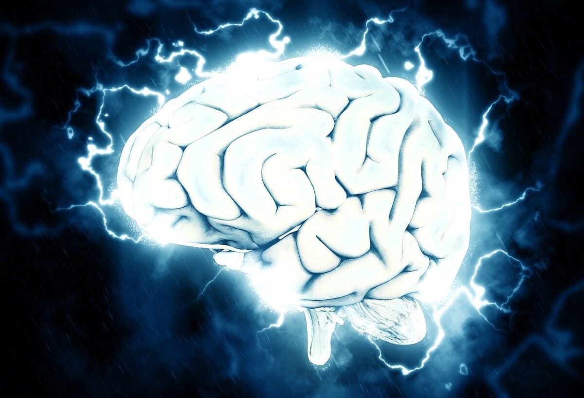 中野信子さん著書のおすすめ本ランキング20選【新刊も紹介】