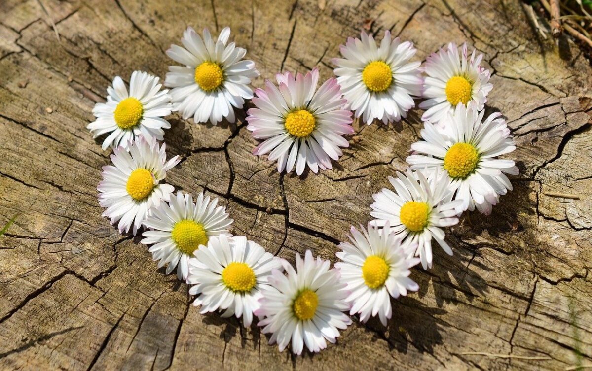 コールドリーディングおすすめ入門本ランキング10選【DaiGo著書も紹介】