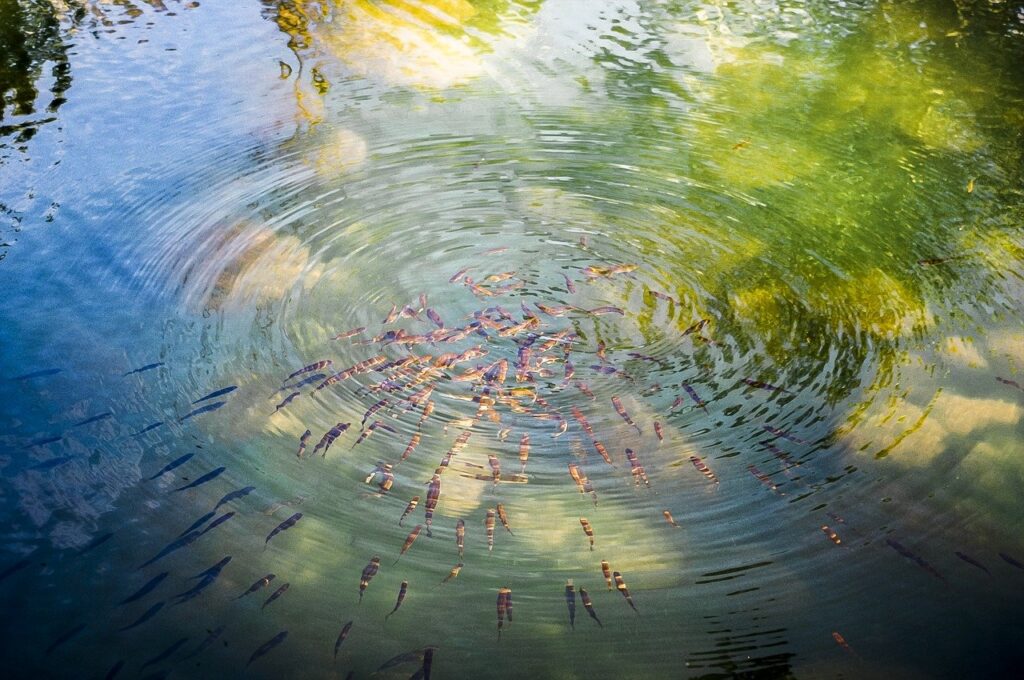 OpenCVのおすすめ入門本ランキング7選！【2021年】