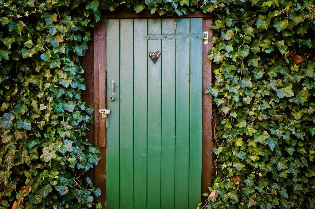 便秘を解消したい人におすすめの本ランキング10選!【食物繊維が重要】