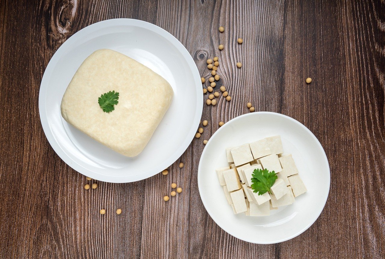 腸内細菌のおすすめ本ランキング11選!【2022年】