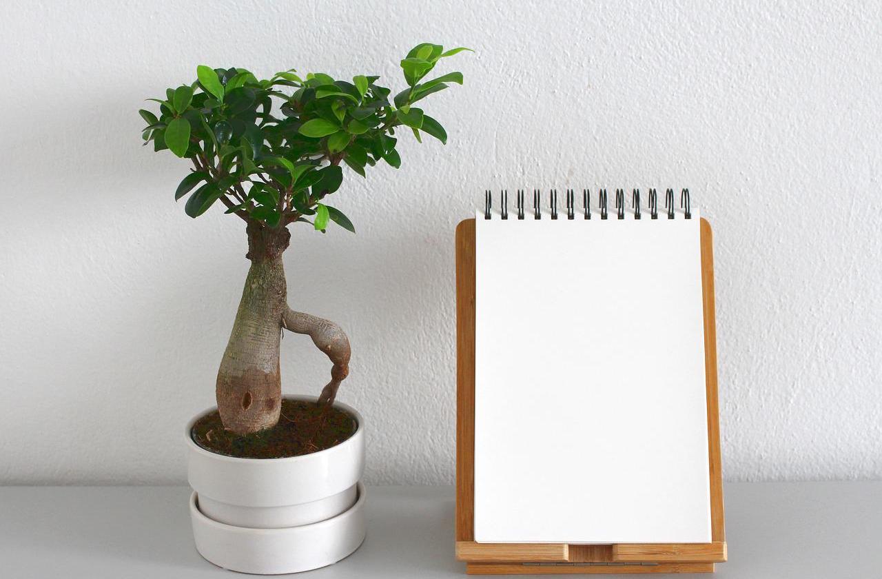 自分と向き合うときに読んでほしいおすすめの本ランキング7選!【2022年】