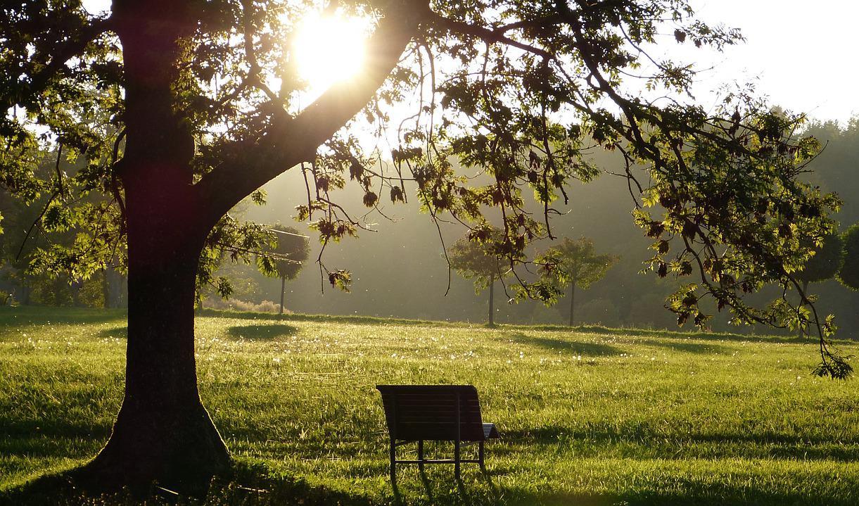 生き方を学べるおすすめ本ランキング16選!【2022年】