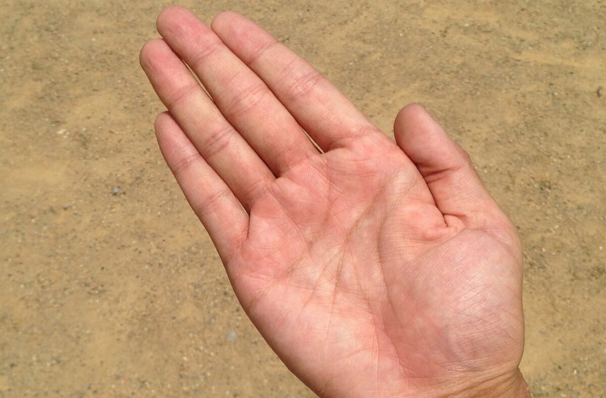 手相のおすすめ本ランキング13選!【2022年】