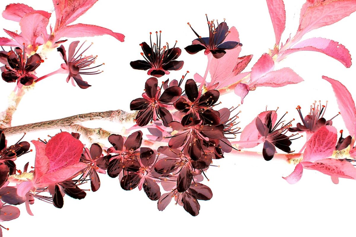 日本美術のおすすめ本ランキング11選!【2022年】