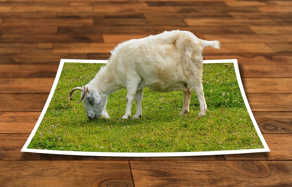 イラストレーター・フォトショップを一緒に学ぶのにおすすめの本ランキング5選!【2022年】