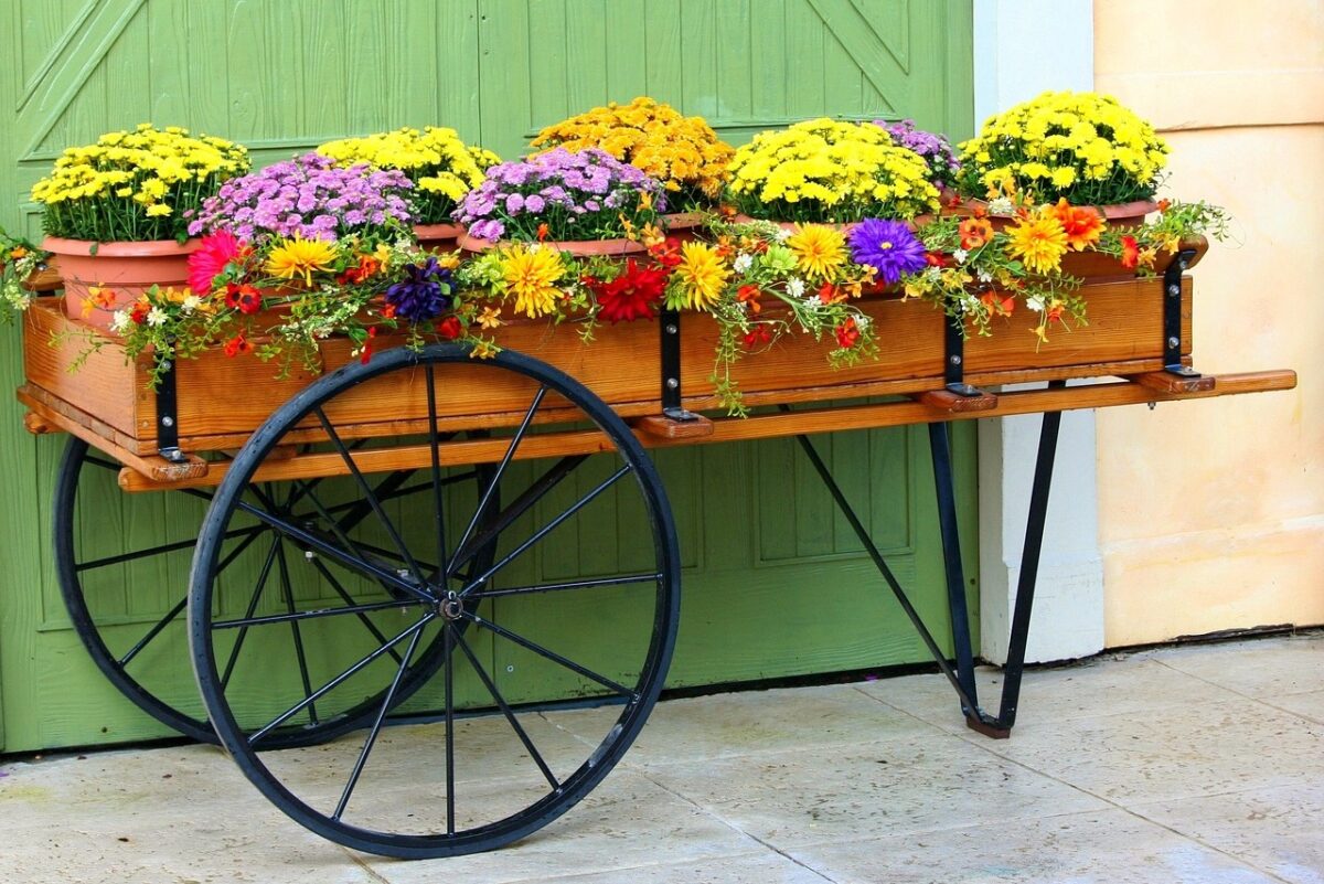 花の育て方のおすすめ本ランキング11選!【2023年】